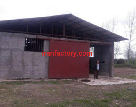 فروش 200 متر گاوداری در آستانه اشرفیه2