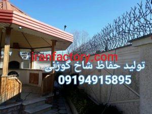 حفاظ شاخ گوزنی از تولید به مصرف5