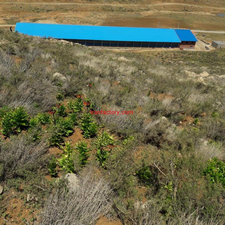 فروش کارخانه آب معدنی در استان چهارمحال بختیاری یا مشارکت0