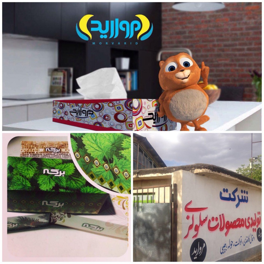فروش کارخانه دستمال کاغذی در یاسوج1
