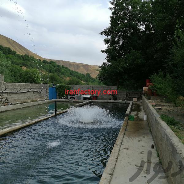 فروش استخر پرورش ماهی در تبریز2