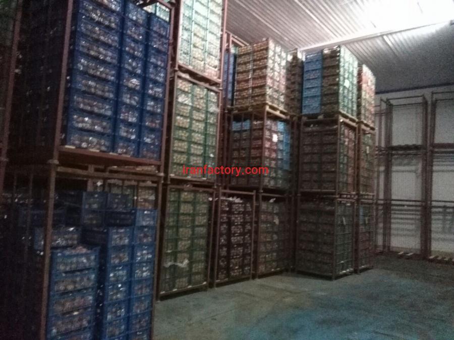 فروش سردخانه 3000 تنی دو مداره در قائمشهر2