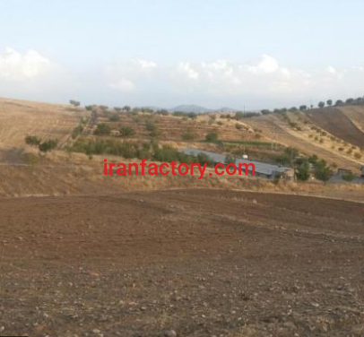 فروش 30000 متر مرغداری در کرمانشاه5