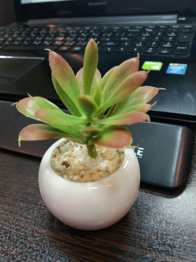 طراحی وب سایت و اپلیکیشن موبایل نمونه کارهای قوی1