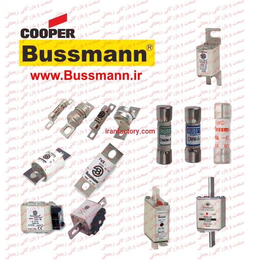 نماینده فیوز بوسمن انگلستان1