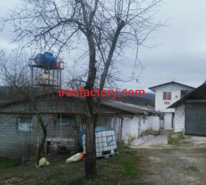 فروش 5000 متر مرغداری و دامداری در رضوانشهر0