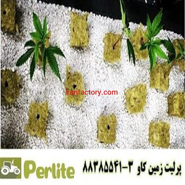 پرلیت یا کودهای شیمیایی؟ Perlite0