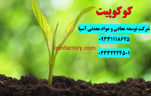 فروش کوکوپیت هندی و سریلانکائی0