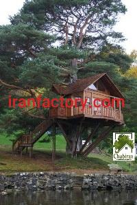 اولین سازنده کلبه جنگلی چوبی2