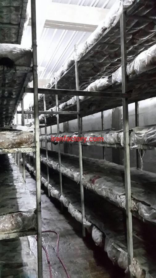 فروش کارخانه کاملا صنعتى تولید و بسته بندى قارچ1