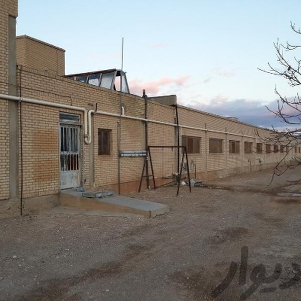 فروش مرغداری گوشتی در شهرضا2