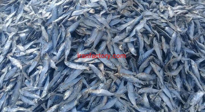 ماهی خشک ساردین0