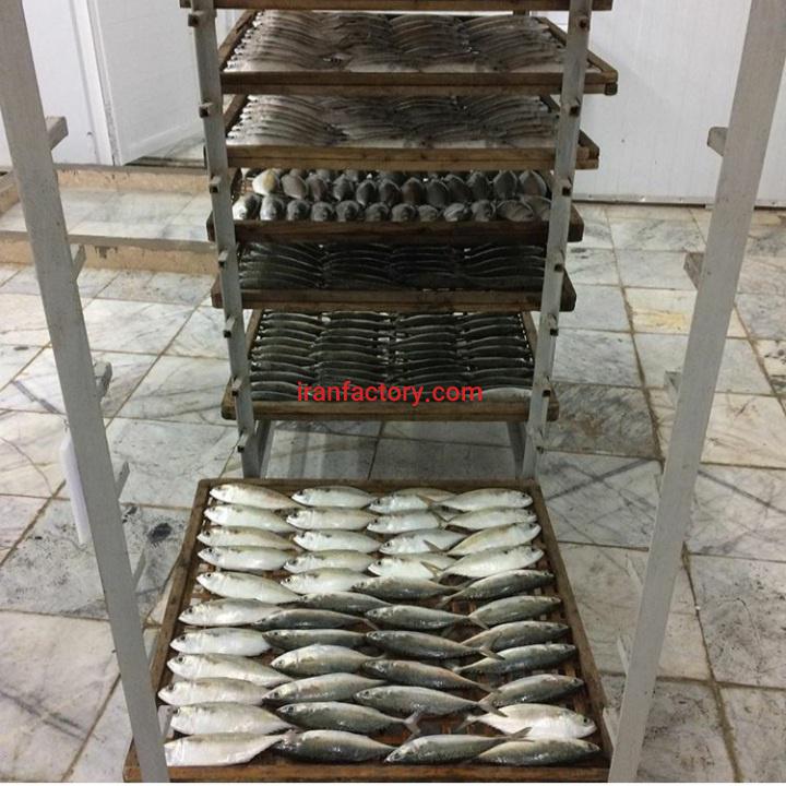 سردخانه و مرکز عمل آوردی ماهی و میگو در بندر عباس2