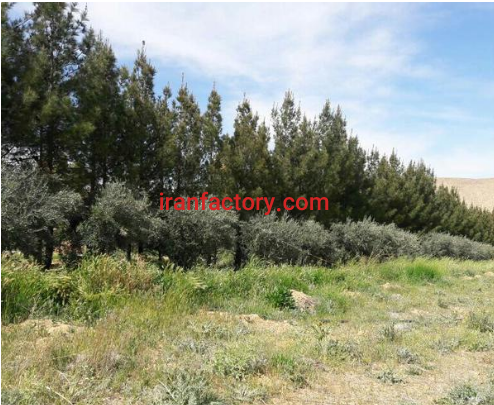 فروش 22164 متر زمین وکارخانه و استخر ماهی در شیراز2