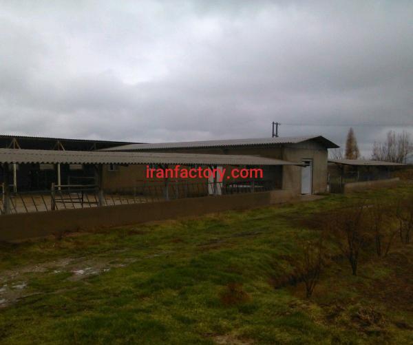 فروش گاوداری شرایطی دراستان گلستان2