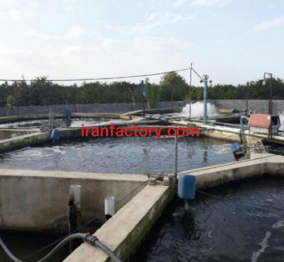 استخر پرورش ماهیِ سردابی فروشی و معاوضه در ساری2