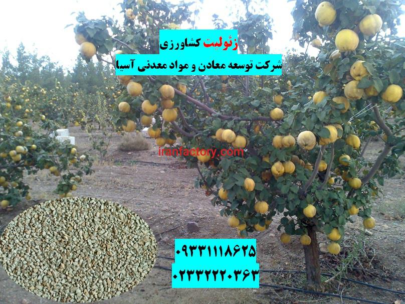 فروش زئولیت شرکت توسعه معادن ومواد معدنی آسیا1