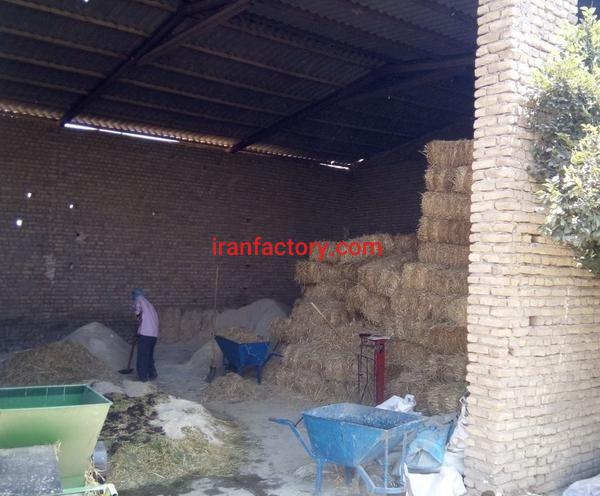 فروش گاوداری مجهز در ورامین تهران2