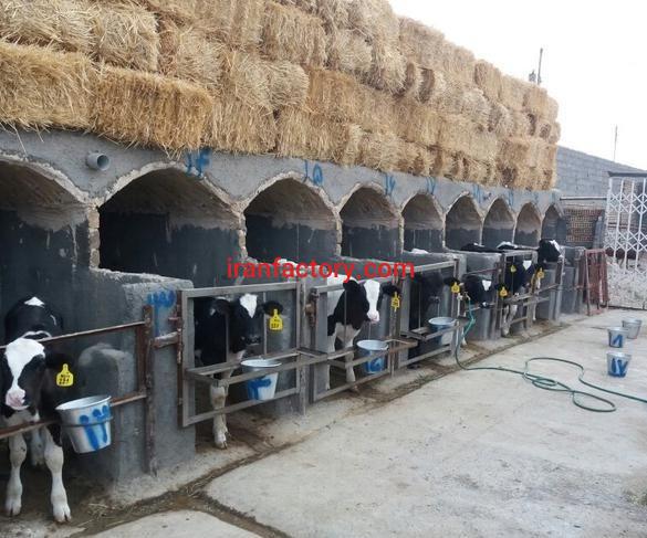 فروش گاوداری در مشهد0