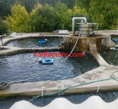 فروش پرورش ماهی در تبریز0