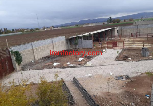 فروش 1200 متر دامداری در شیراز2