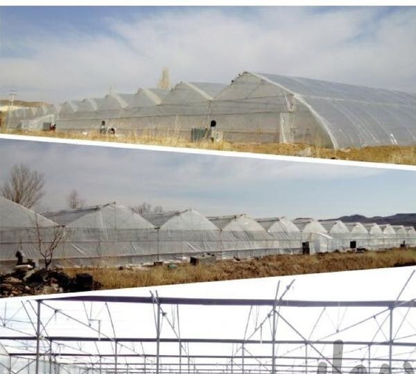 فروش پرورش ماهی و گلخانه در تهران3