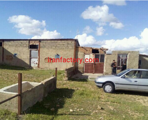 8500 متر گاوداری 30 راسی با وام فروشی در سنقر0