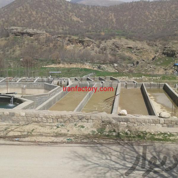 اجاره پرورش ماهی قزل آلا در کوهرنگ0