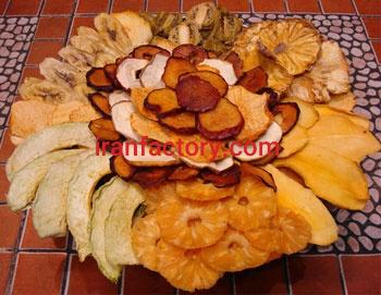 سازنده دستگاه خشک کن میوه2