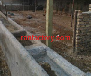 فروش 1400 متر دامداری در گرمسار3