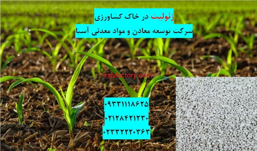 فروش زئولیت در زمین کشاورزی0
