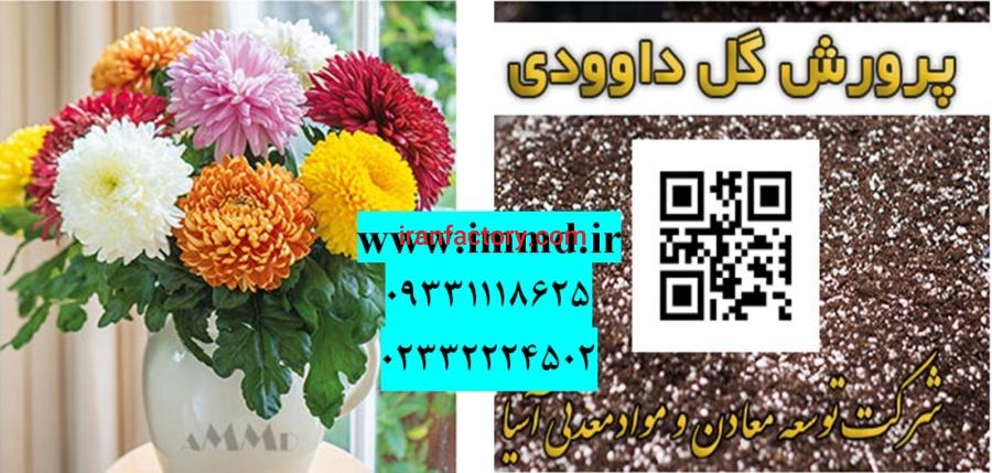 فروش پرلیت برای بستر کشت گل داوودی0