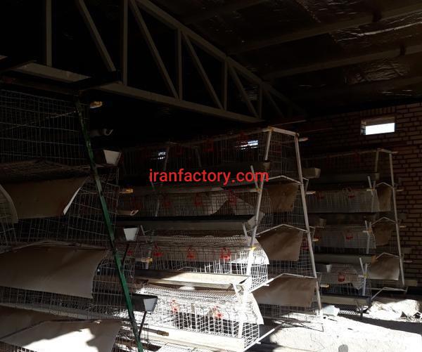 فروش مرغداری تخمگذار ( از دم قسط) در تهران1
