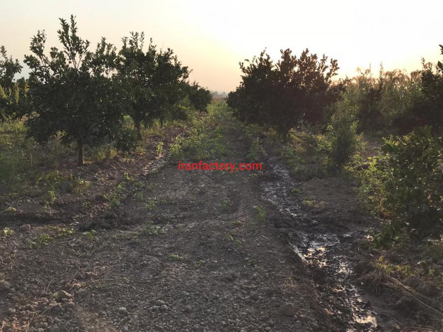 سوله وانبارفنی مصولات کشاورزی5