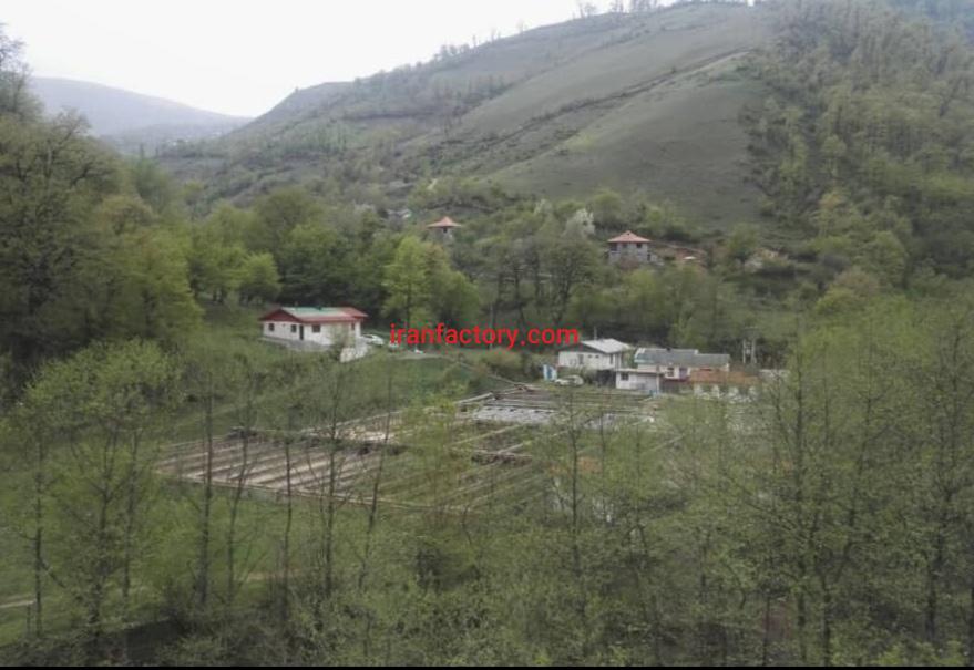 فروش پرورش ماهی سردآبی در گیلان2