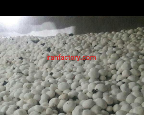 فروش 22164 متر زمین وکارخانه و استخر ماهی در شیراز3
