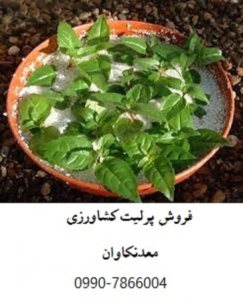 فروش پرلیت کشاورزی و باغبانی معدن کاوان0