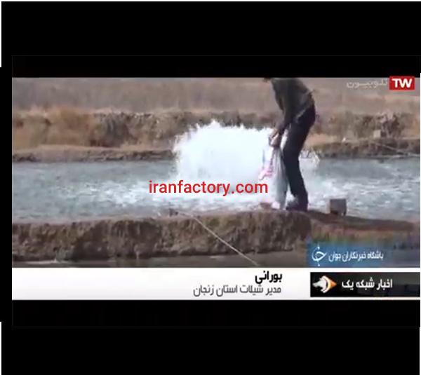 فروش مزرعه پرورش ماهی قزل آلا در زنجان1