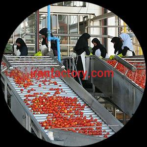 سازنده ماشین آلات خط فرآوری , عمل آوری و بسته بندی رب گوجه فرنگی1