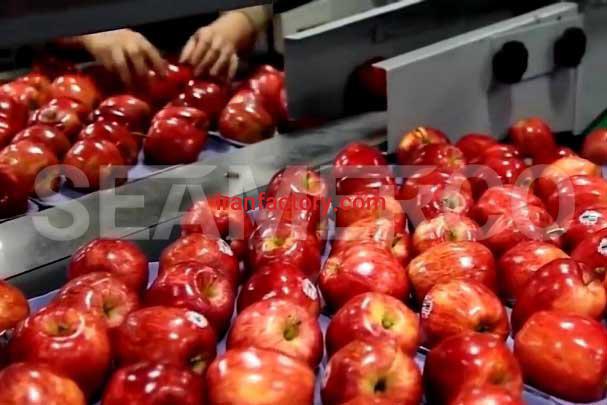 سازنده خط تولید کمپوت سیب سیمرکو تهران0