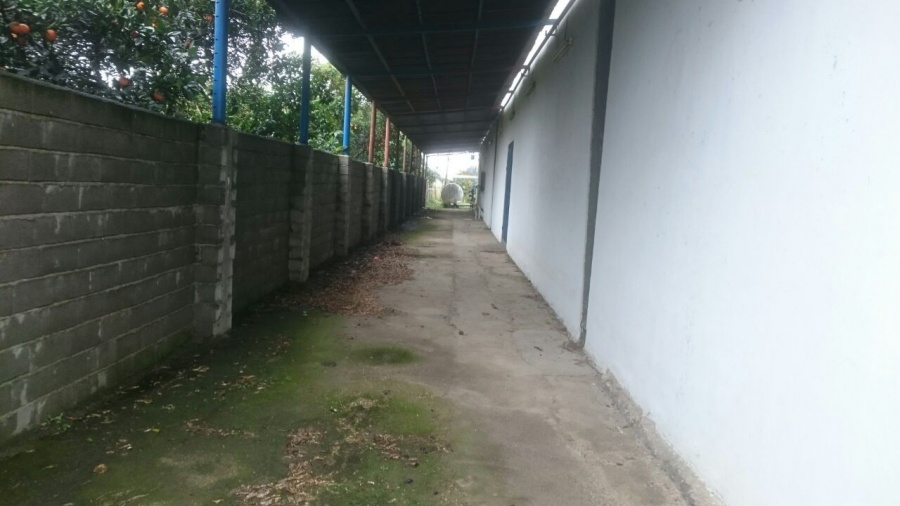 فروش سوله در مازندران3