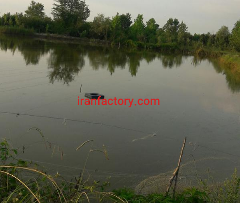 فروش 7هکتار پرورش ماهی در رشت0