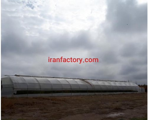 فروش 40 هزار متر گلخانه و استخر در تاکستان2