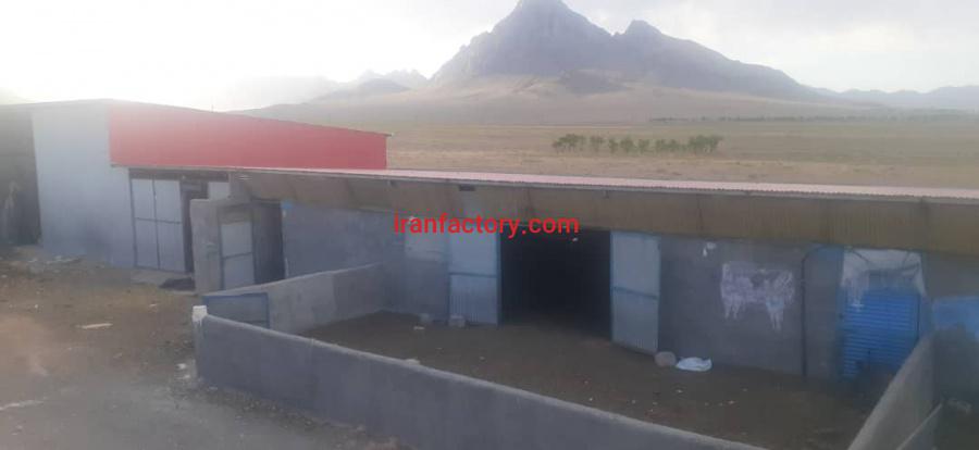 فروش دامداری تیران و کرون اصفهان3