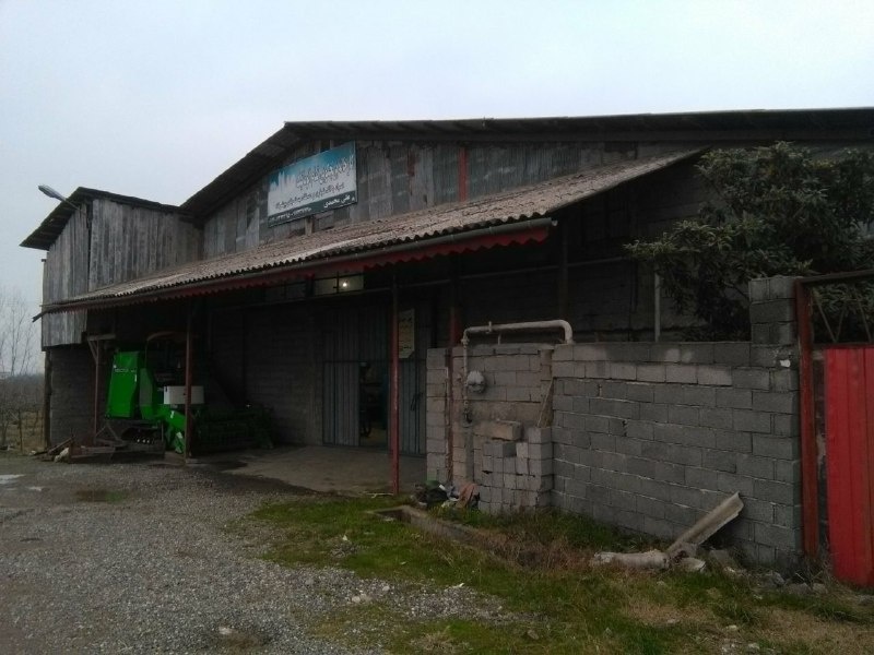 کارخانه برنجکوبی تمام اتوماتیک3