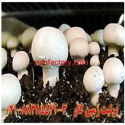 مزیت های استفاده از پرلیت در پرورش قارچ perlite0