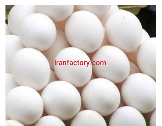 تولید و توزیع تخم مرغ در لرستان0