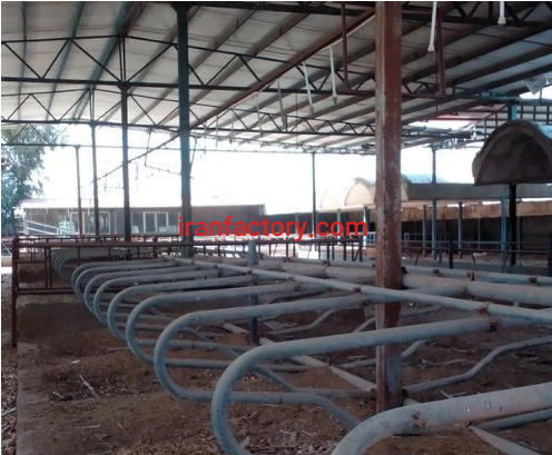 فروش و معاوضه 4000 مترگاوداری مجهز در شهرک لبن در قم0