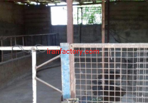 فروش دوهکتار مزرعه پروش ماهی و دام در شفت گیلان2