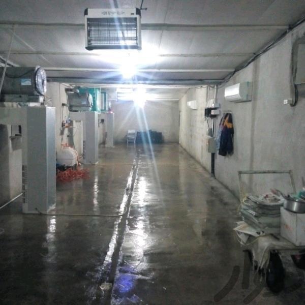 فروش کارخانه قارچ خوراکی در بوشهر2